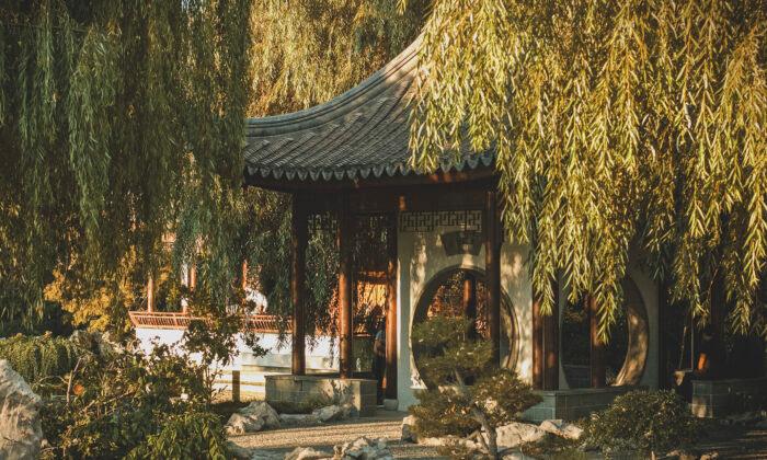 Huntington Library’s Chinese Garden: A Tour of California’s Best Hidden Botanical and Architectural Masterpiece