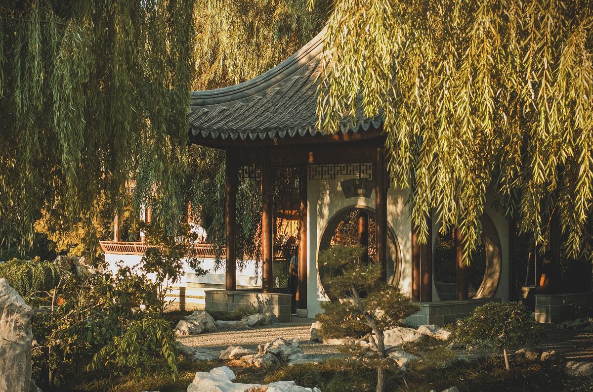 Huntington Library’s Chinese Garden: A Tour of California’s Best Hidden Botanical and Architectural Masterpiece