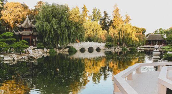 The Bridge of the Joy of Fish / Yu Le Qiao / 魚樂橋 provides views of the Lake of Reflected Fragrance / Ying Fang Hu / 映芳湖 and the many areas of the garden surrounding and reflected by it. (Jeff Perkin)