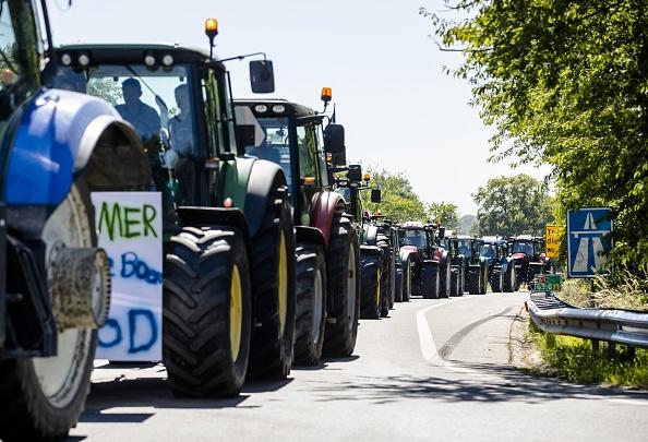 Dutch Farmers Protest Policies That Could Drive Them Out of Business and Fuel Global Food Shortages