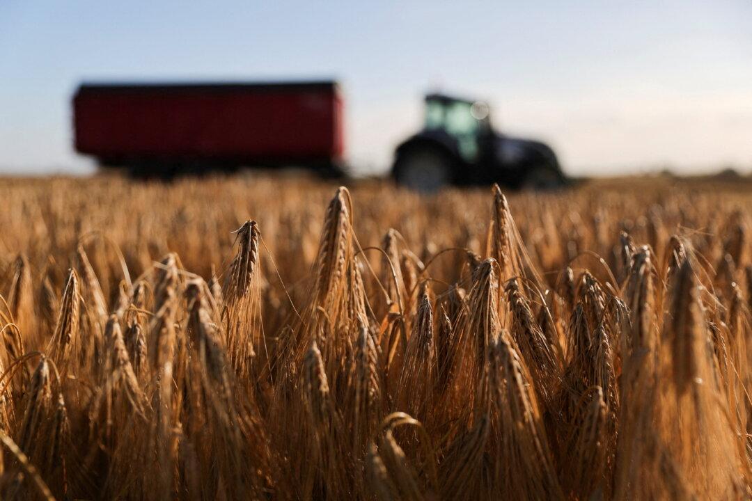 Ukraine War’s Disruption Sends Agriculture Input Prices up Nearly 10 Percent in First Quarter: Eurostat