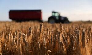 Ukraine War’s Disruption Sends Agriculture Input Prices up Nearly 10 Percent in First Quarter: Eurostat