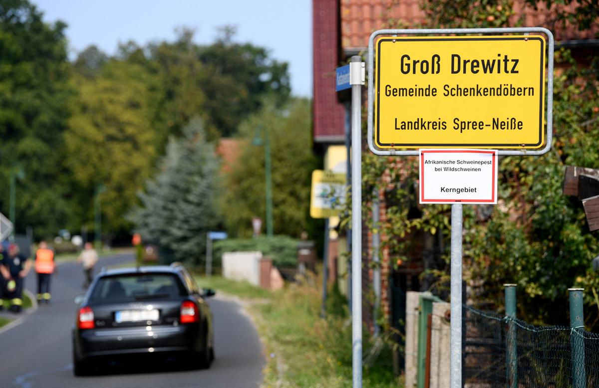 Swine Fever Outbreak in Germany’s Top Pork State Poses Lasting Threat