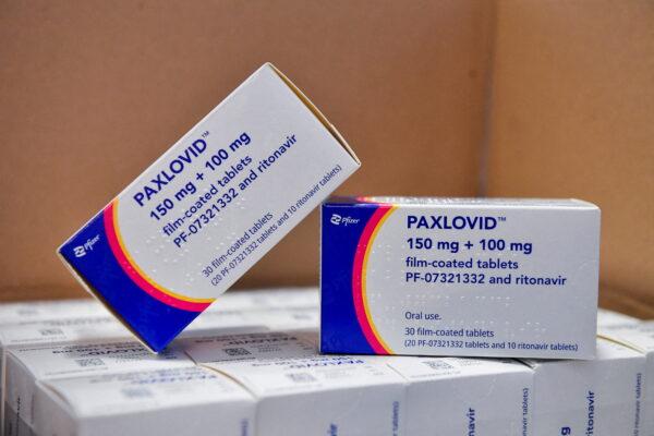 COVID-19 treatment pill Paxlovid in boxes at Misericordia hospital in Grosseto, Italy, on Feb. 8, 2022. (Jennifer Lorenzini/Reuters)