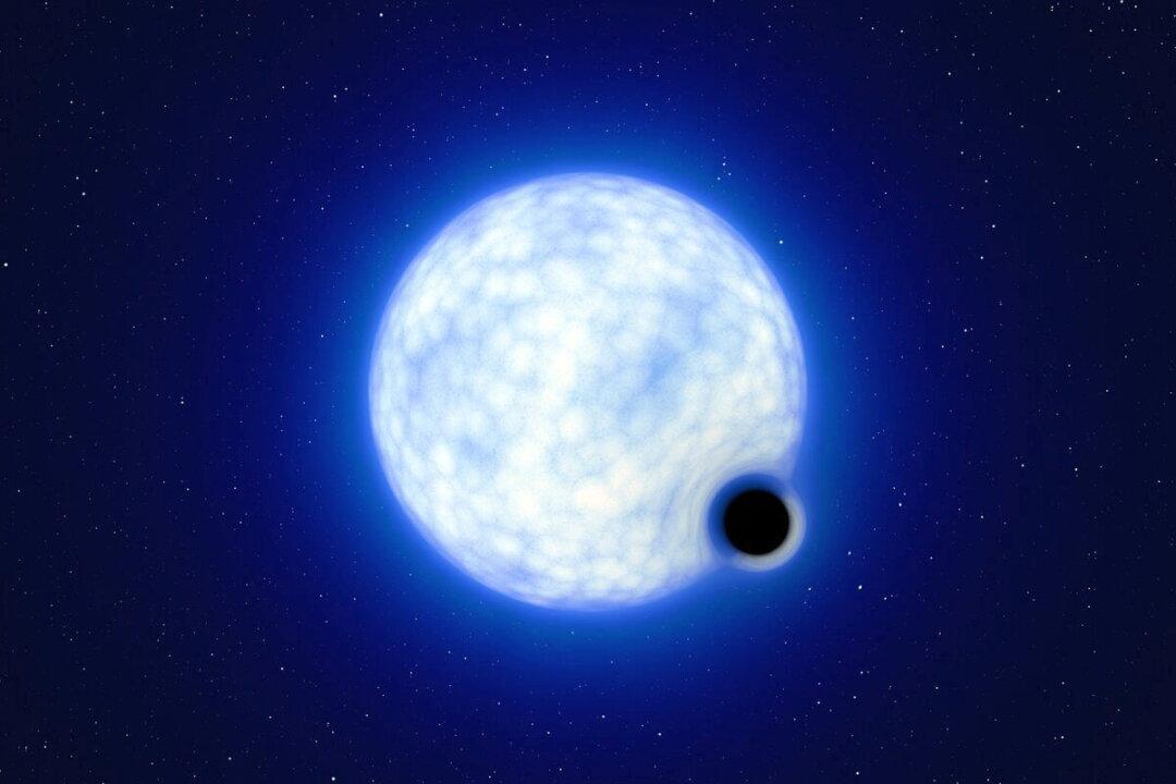 Scientists Find an Exotic Black Hole Deemed a ‘Needle in a Haystack’
