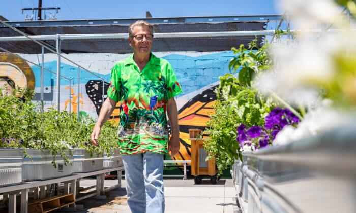 Garden in the Rough: OC Charity Adds Fresh Produce to Food Pantry