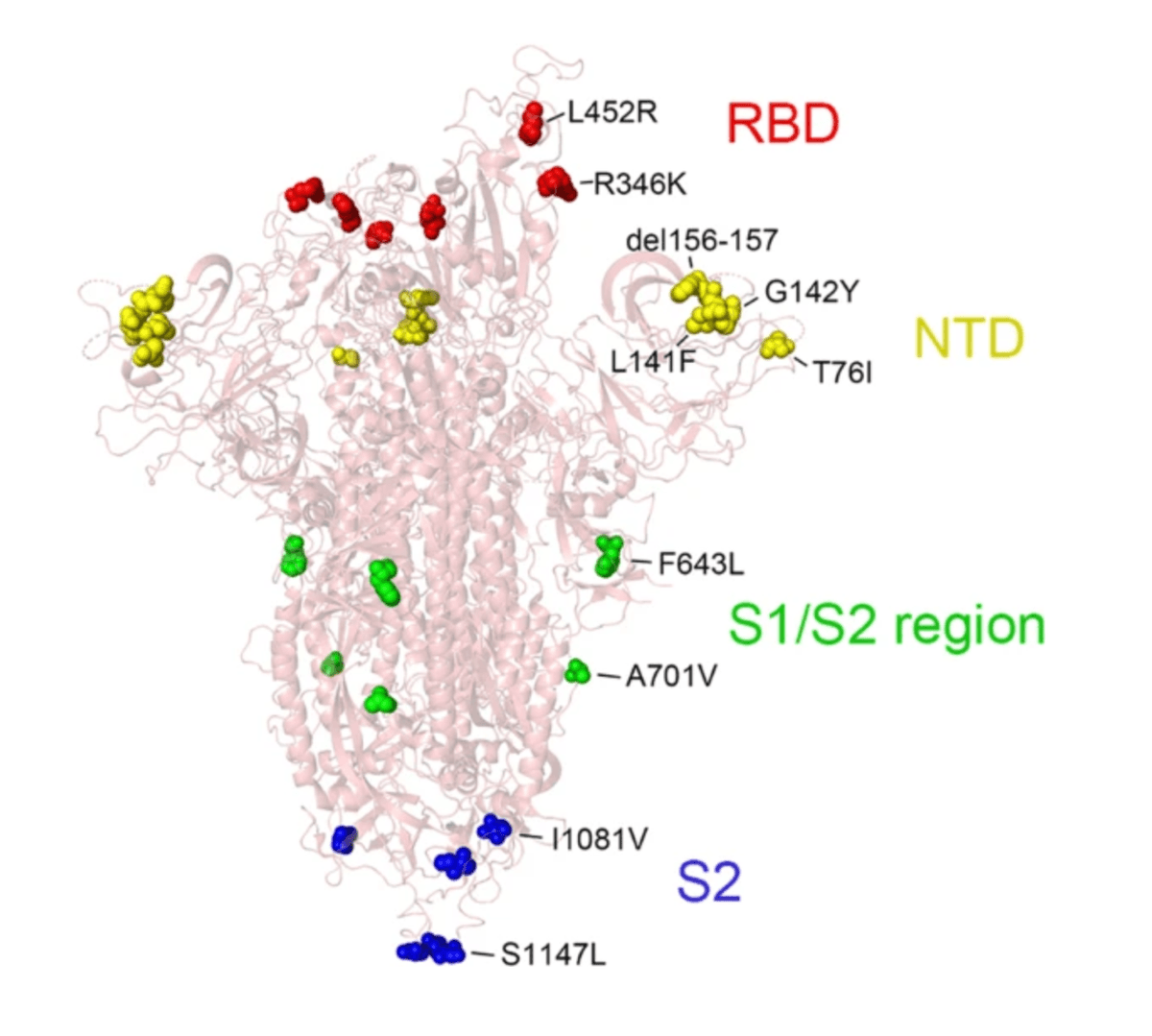 Structure of SARS-CoV-2 Omicron spike protein mapped with the novel mutations. (Source: <a href="https://www.nature.com/articles/s41392-022-00992-2">Tracking SARS-CoV-2 Omicron diverse spike gene mutations identifies multiple inter-variant recombination events</a>)