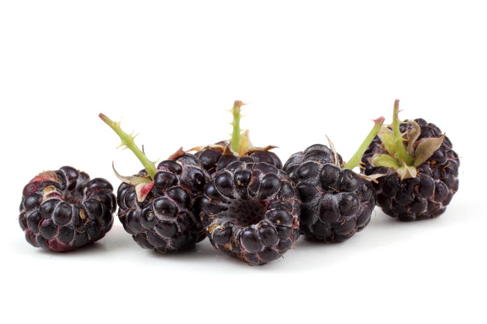 Black raspberries. (Alex Coan/Shutterstock)