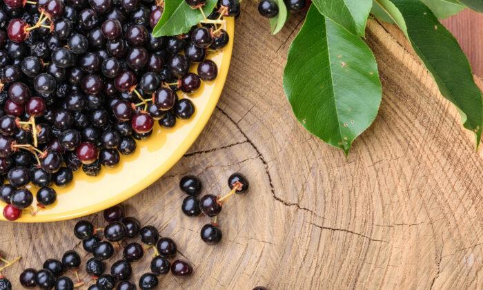 Get Relief From Irritated and Dry Eyes With This Berry Extract