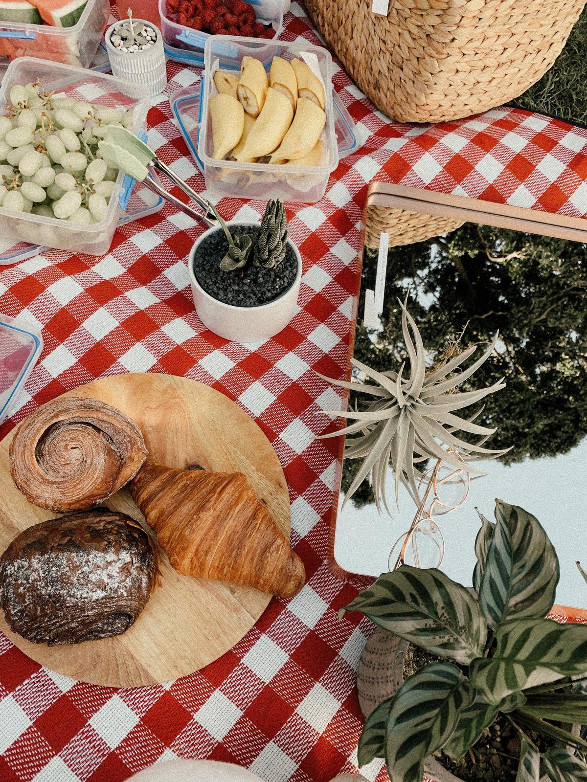 Tips on making your next picnic a fun fest that will make you an al fresco legend. (Jojo Yuen/Unsplash)