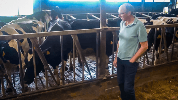 Dutch dairy farmer Martin Neppelenbroek at his farm in Lemelerveld, The Netherlands, on July 7, 2022. (The Epoch Times)