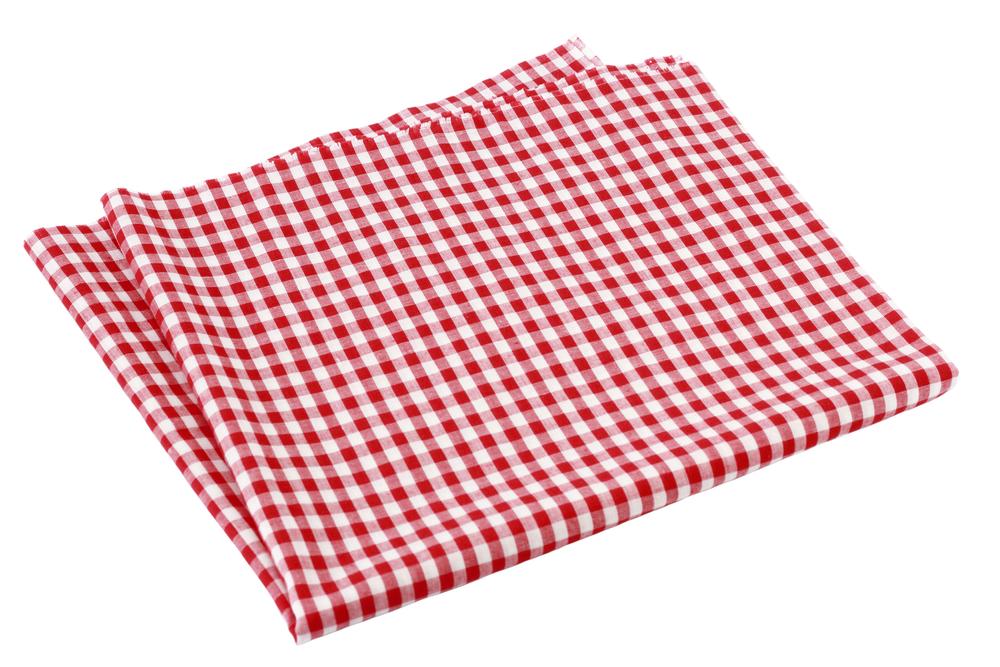 Don’t forget to bring a festive tablecloth to add panache to the picnic table. It can double as a picnic blanket, too. (happytim/Shutterstock)