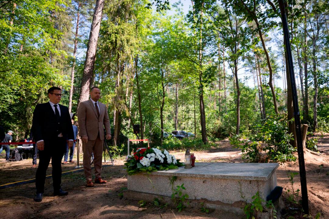 Ashes of 8,000 WWII Victims Found in 2 Poland Mass Graves