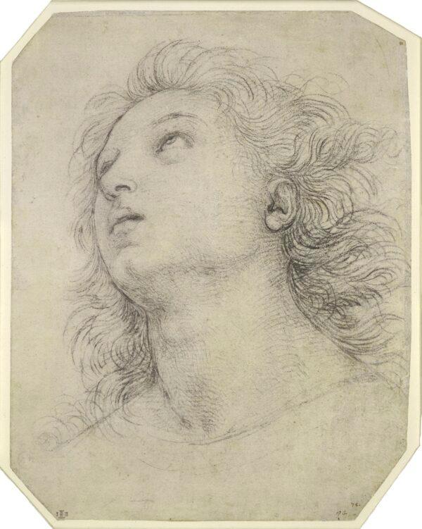 "Study for the Head of St. James," circa 1502–3, by Raphael. Black chalk, with traces of pounced underdrawing; 10 3/4 inches by 8 1/2 inches. The British Museum, London. (The Trustees of The British Museum)