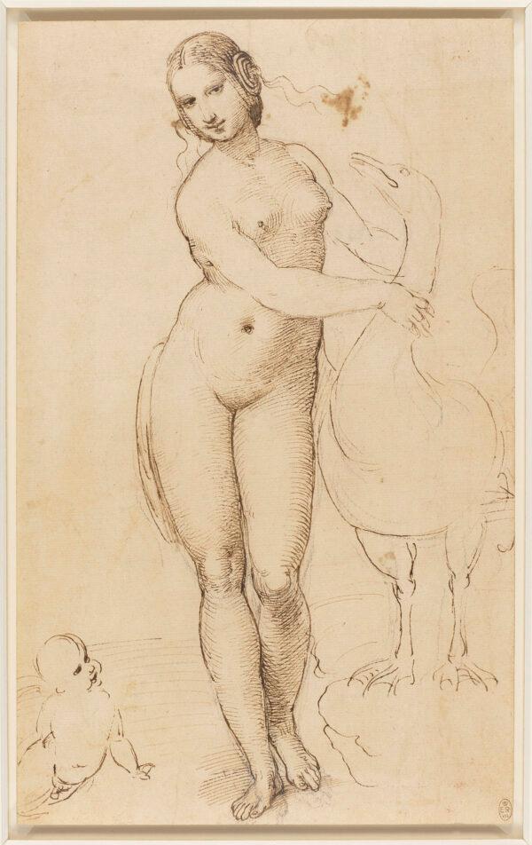  “Leda and the Swan (after Leonardo da Vinci),” circa 1505–7, by Raphael. Pen and brown ink over black chalk; 12 1/4 inches by 7 1/2 inches. Lent by Her Majesty The Queen, Royal Collection Trust. (Her Majesty Queen Elizabeth II 2022)