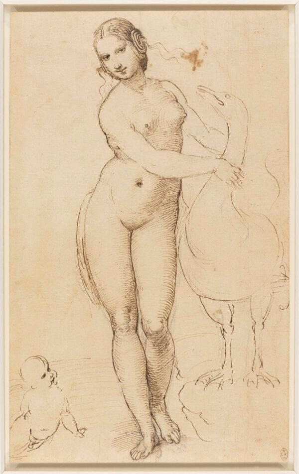 “Leda and the Swan (after Leonardo da Vinci),” circa 1505–7, by Raphael. Pen and brown ink over black chalk; 12 1/4 inches by 7 1/2 inches. Lent by Her Majesty The Queen, Royal Collection Trust. (Her Majesty Queen Elizabeth II 2022)