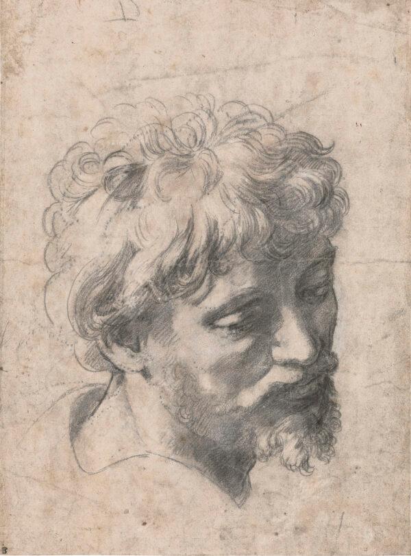  "Study for the Head of an Apostle in 'The Transfiguration,'" circa 1519–20, by Raphael. Black chalk over pouncing; 14 3/4 inches by 10 7/8 inches. Private Collection. (Tim Nighswander/IMAGING4ART)