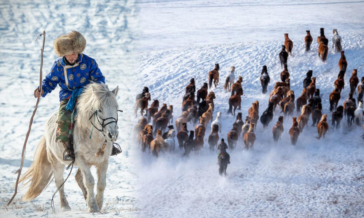 Photographer Captures Mongolia's Herdsmen Showcasing Incredible Horse Herding Skills in Epic Winter Festival