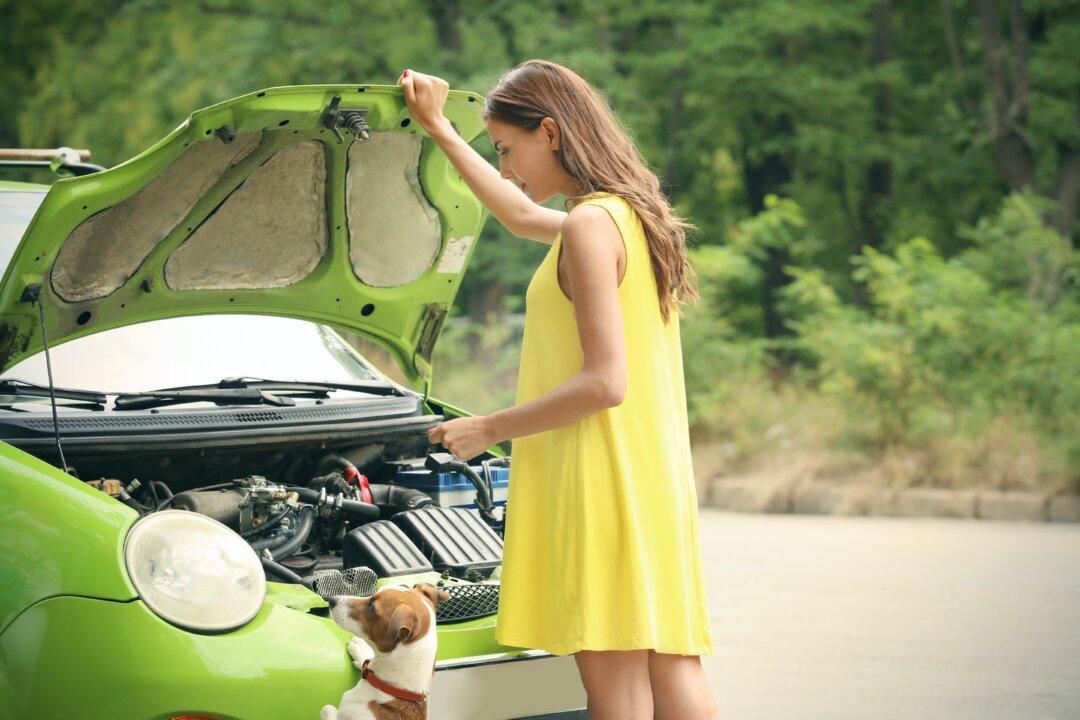 Prevent Pets From Drinking Windshield Washer Fluid