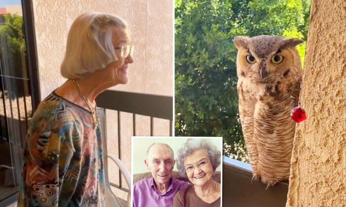 VIDEO: Chatty Owl Visits 98-Year-Old Grandma Daily; Family Thinks It’s a Sign From Late Grandpa