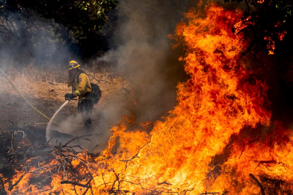 A firefighter sprays water while battling the Oak Fire in Mariposa County, Calif., on July 23, 2022. (Noah Berger/AP Photo)