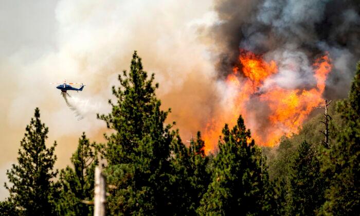 Firefighters Slow Growth of California Blaze Near Yosemite