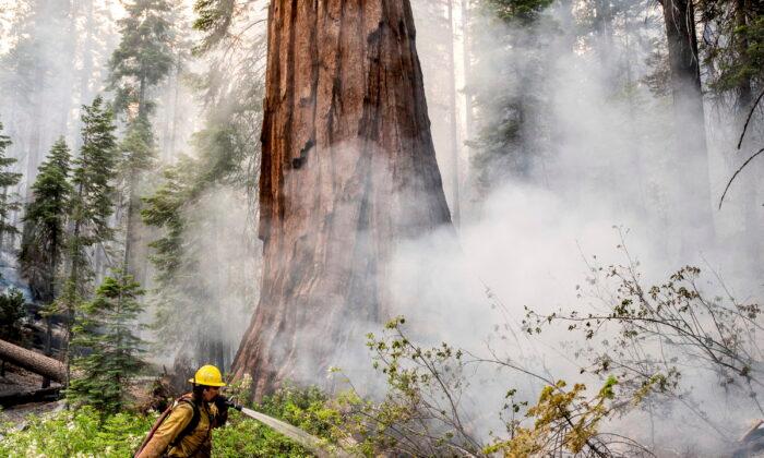 California Firefighters Gain Against Yosemite Wildfire