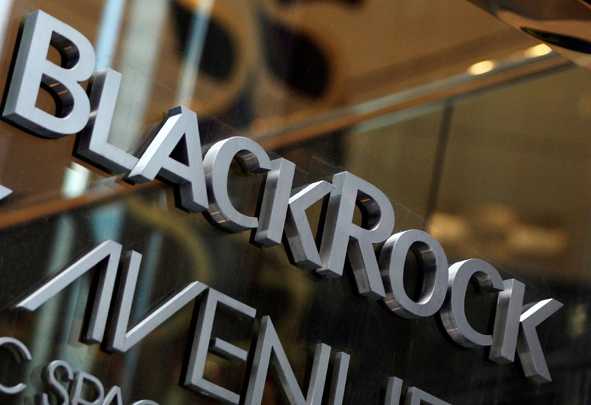 US Giant BlackRock to Invest $1 Billion Into Australian Battery Projects