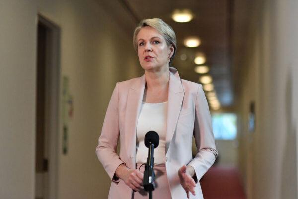 Environment Minister Tanya Plibersek speaks during a stand-up in the Press Gallery at Parliament House on March 24, 2021 in Canberra, Australia. (Photo by Sam Mooy/Getty Images)