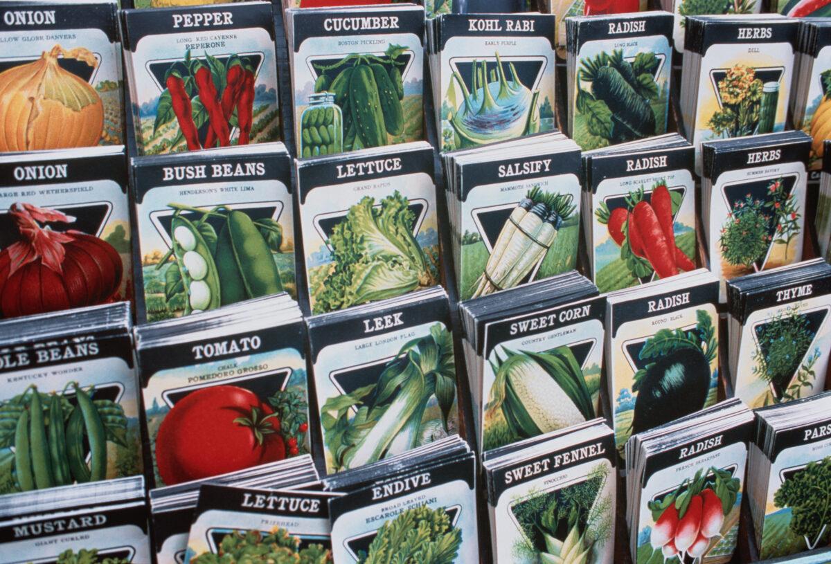 An array of vegetable and herb seed packets on display. (Getty Images)