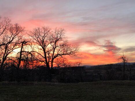 Yvonne Christ shares a sunset shot from home. (Courtesy of Yvonne Christ)