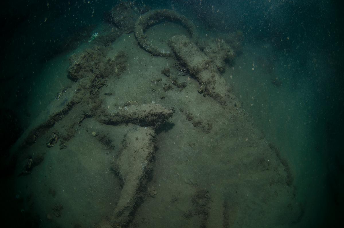 Anchor ring, one of two anchors which are visible on the site. (Courtesy of Norfolk Historic Shipwrecks)