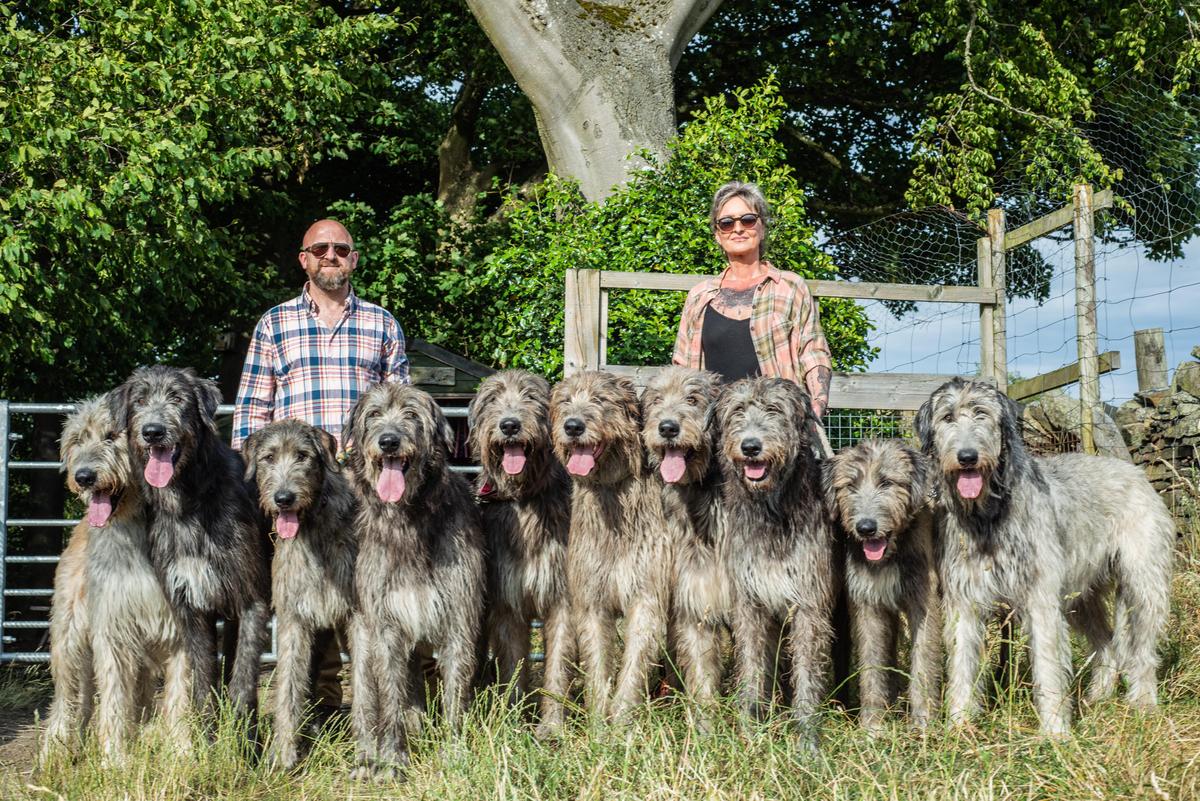 (Courtesy of <a href="https://www.instagram.com/austonley_irish_wolfhounds/">Austonley Irish Wolfhounds</a>)