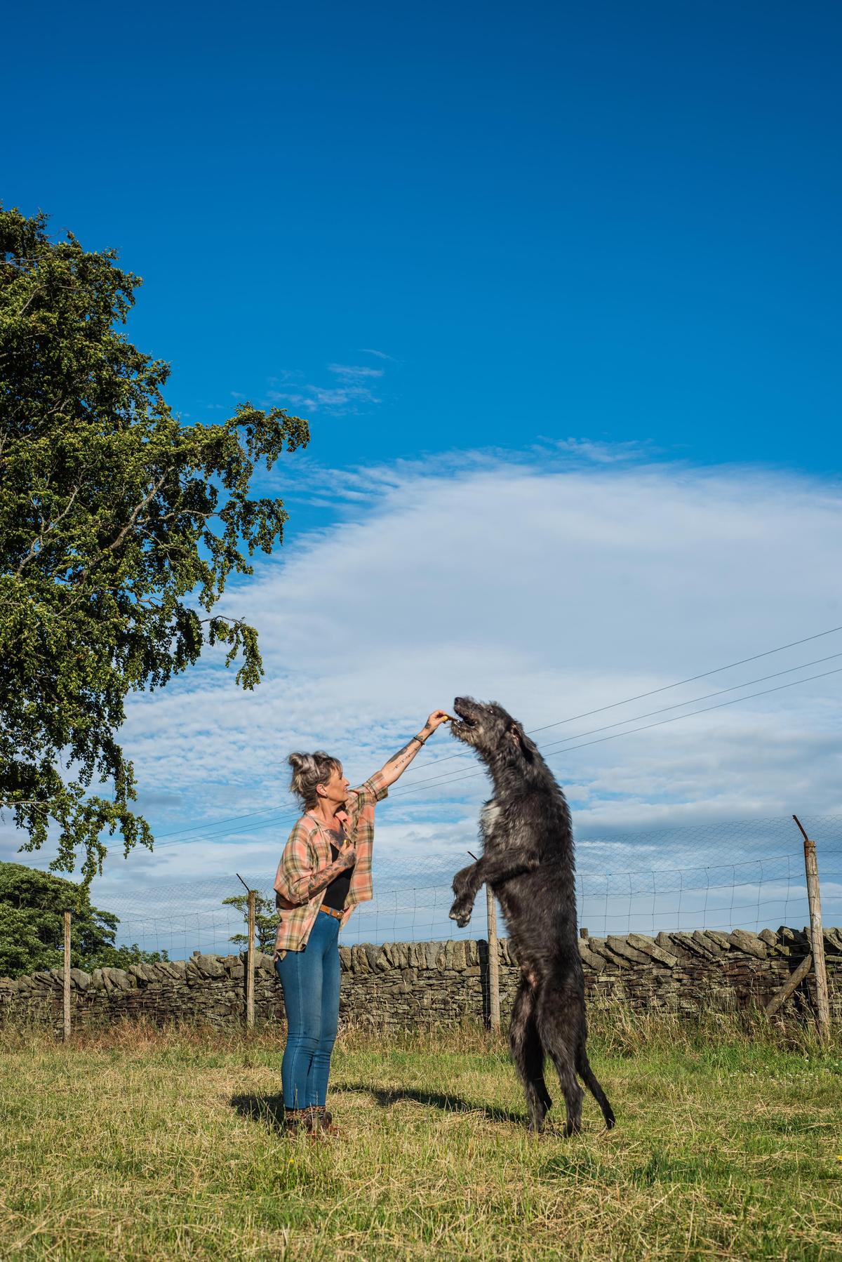 Claire with Wilson, the tallest wolfhound. (Courtesy of <a href="https://www.instagram.com/austonley_irish_wolfhounds/">Austonley Irish Wolfhounds</a>)