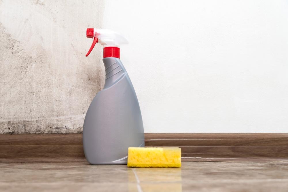 Wipe down your walls with warm water and a sponge before you start painting. (Yaraslau Mikheyeu/Shutterstock)