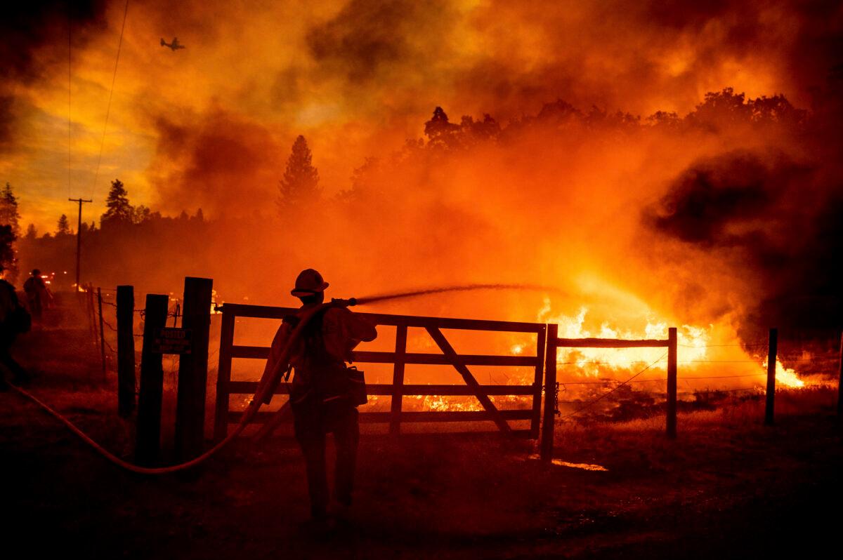 A firefighter extinguishes flames as the Oak Fire crosses Darrah Rd. in Mariposa County, Calif., on July 22, 2022. (Noah Berger/AP Photo)