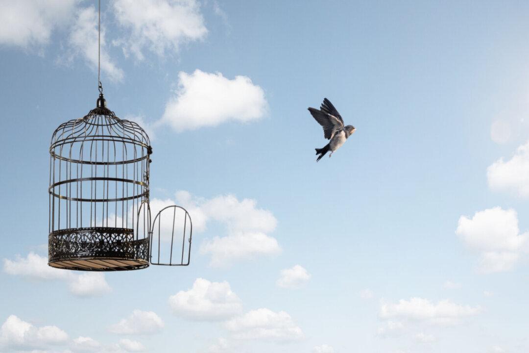 Are We Free By Right or Not?