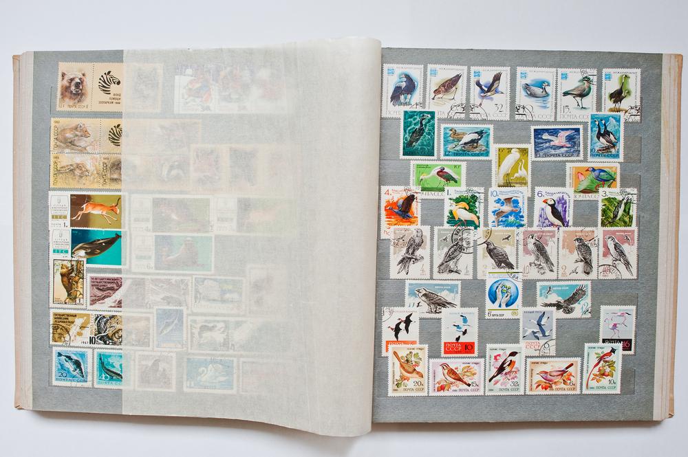 When placing stamps in an album for viewing, take care to store it upright in a cool dry place to avoid damaging the contents. (AS photostudio/Shutterstock)