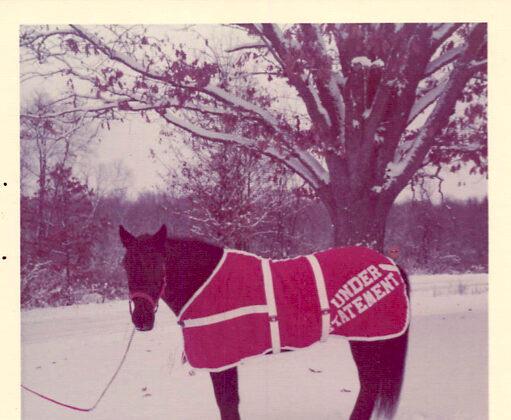 Laurene C. Mann's first horse. (Courtesy of Laurene C. Mann)
