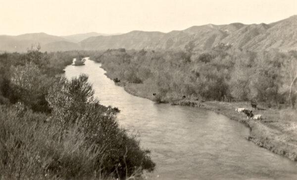 An undated photo of Santa Ana Canyon and Santa Ana River. (Courtesy of Orange County Archives)