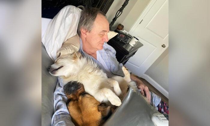 PHOTOS: Neighborhood Dogs Just Love This One Man—Can’t Wait for Cuddled Naps