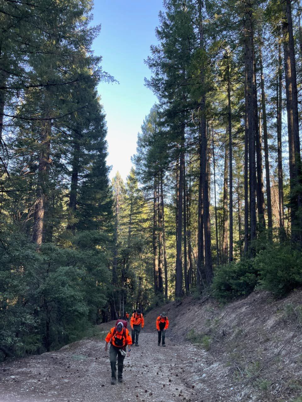 (Courtesy of <a href="https://www.facebook.com/NCSSAR/">Nevada County Sheriff's Search & Rescue</a>)
