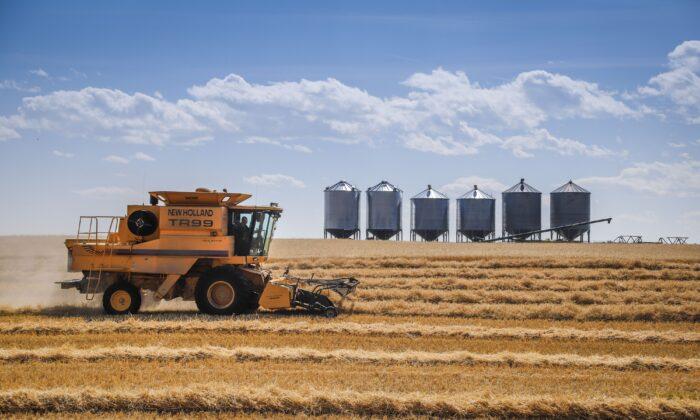 Cory Morgan: After Crippling the Energy Sector, Liberals Are Now Targeting Farming