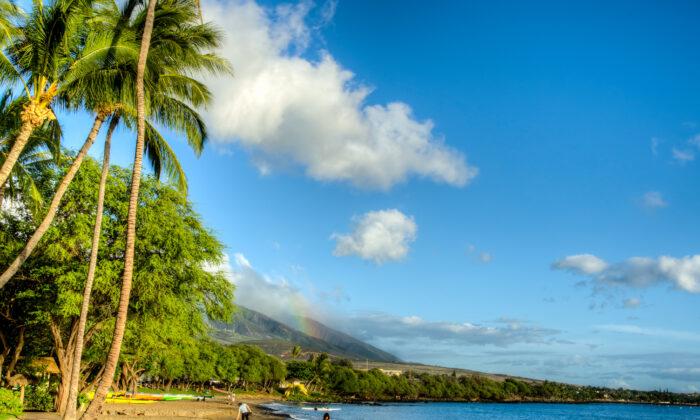Natural Wonders: Soil, Sea, and Sky in Maui