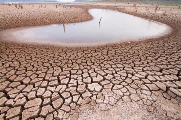 Drought land. (Courtesy of Dreamstime)