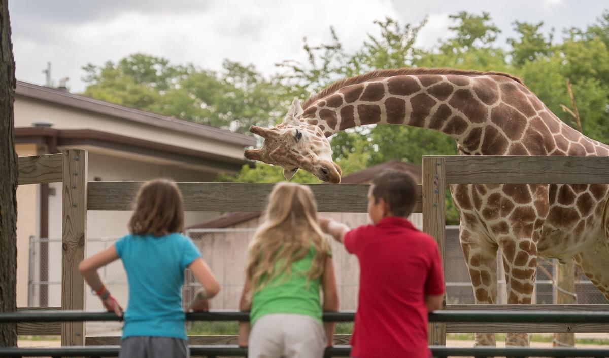 Henry Vilas Zoo. (Focal Flame Photography/Courtesy of Destination Madison)