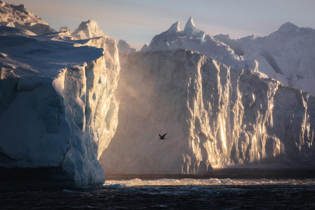 Finding the Unknown in Greenland