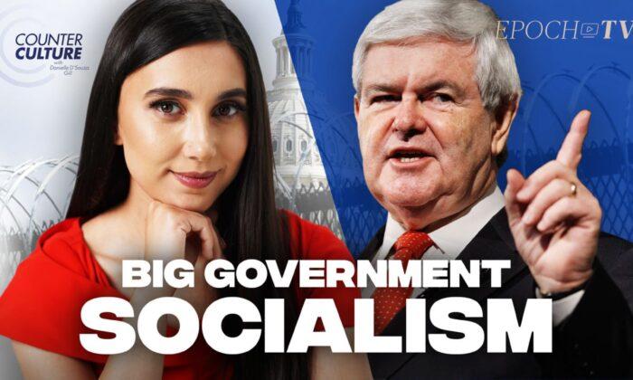D’Souza Gill and Gingrich Expose Never Trumpers and Big Government Socialism | Counterculture