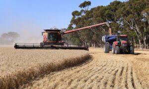 Record Production Brings Huge Gains to Australian Agriculture in 2020-2021