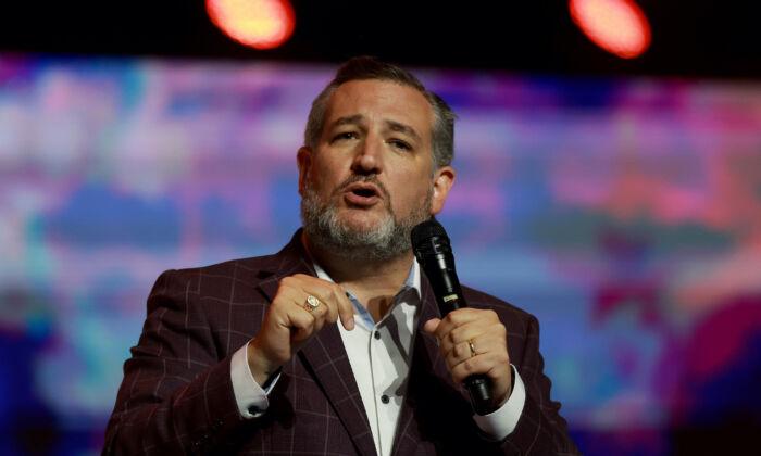 Ted Cruz Calls to Defund ‘Biden’s Army of IRS Agents’